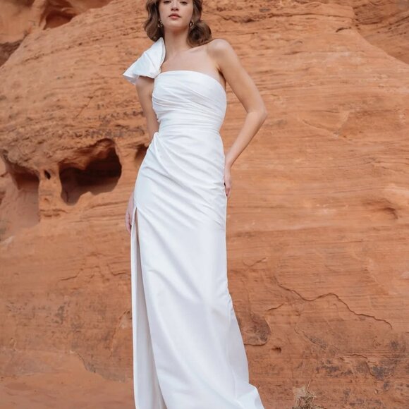 Jenny Yoo Isla Gown with Overskirt Size 10 NEW Taffeta - Picture 8 of 16